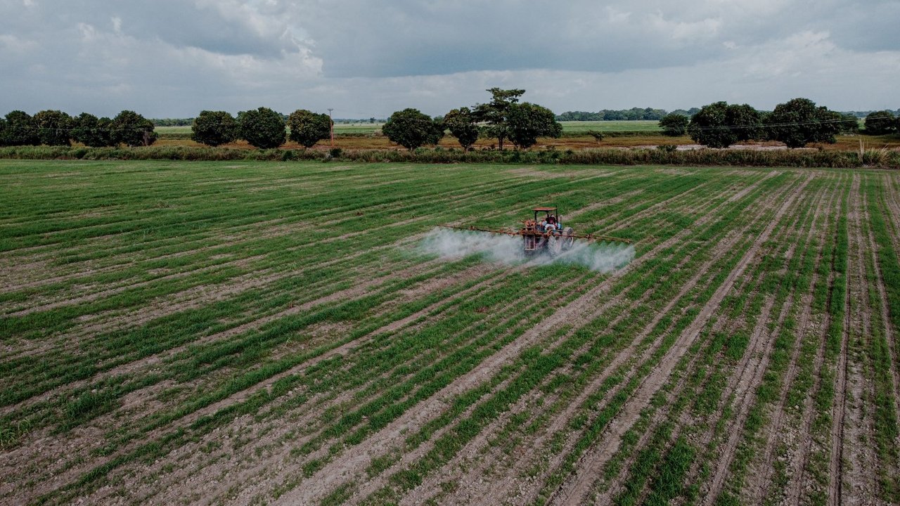 Vista aérea de um trator aplicando pesticidas em uma plantação verde.