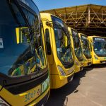 Ônibus urbanos amarelos enfileirados em uma estação de transporte público sob céu ensolarado.