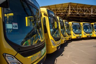 Ônibus urbanos amarelos enfileirados em uma estação de transporte público sob céu ensolarado.